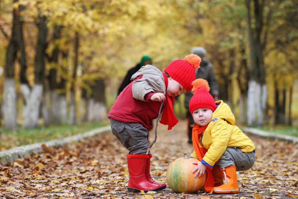 Children are walking in nature, fall leaves.